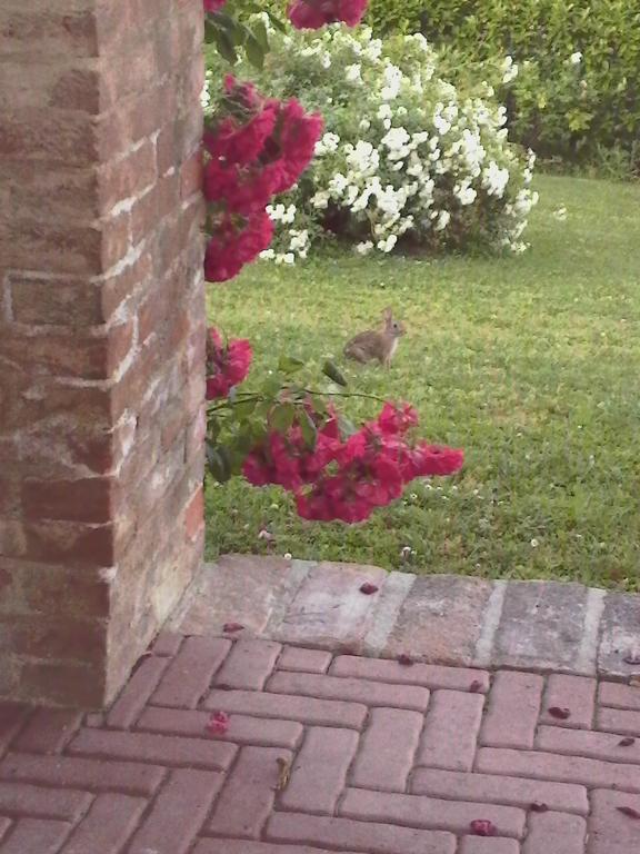 Casa Rovelli Bed & Breakfast Alfiano Natta Luaran gambar
